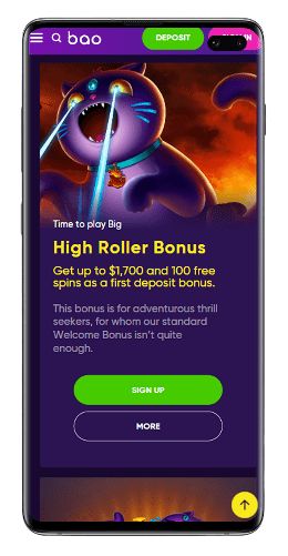 Bao Casino Mobile Version